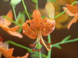 Foto: Dr. Peter Müller